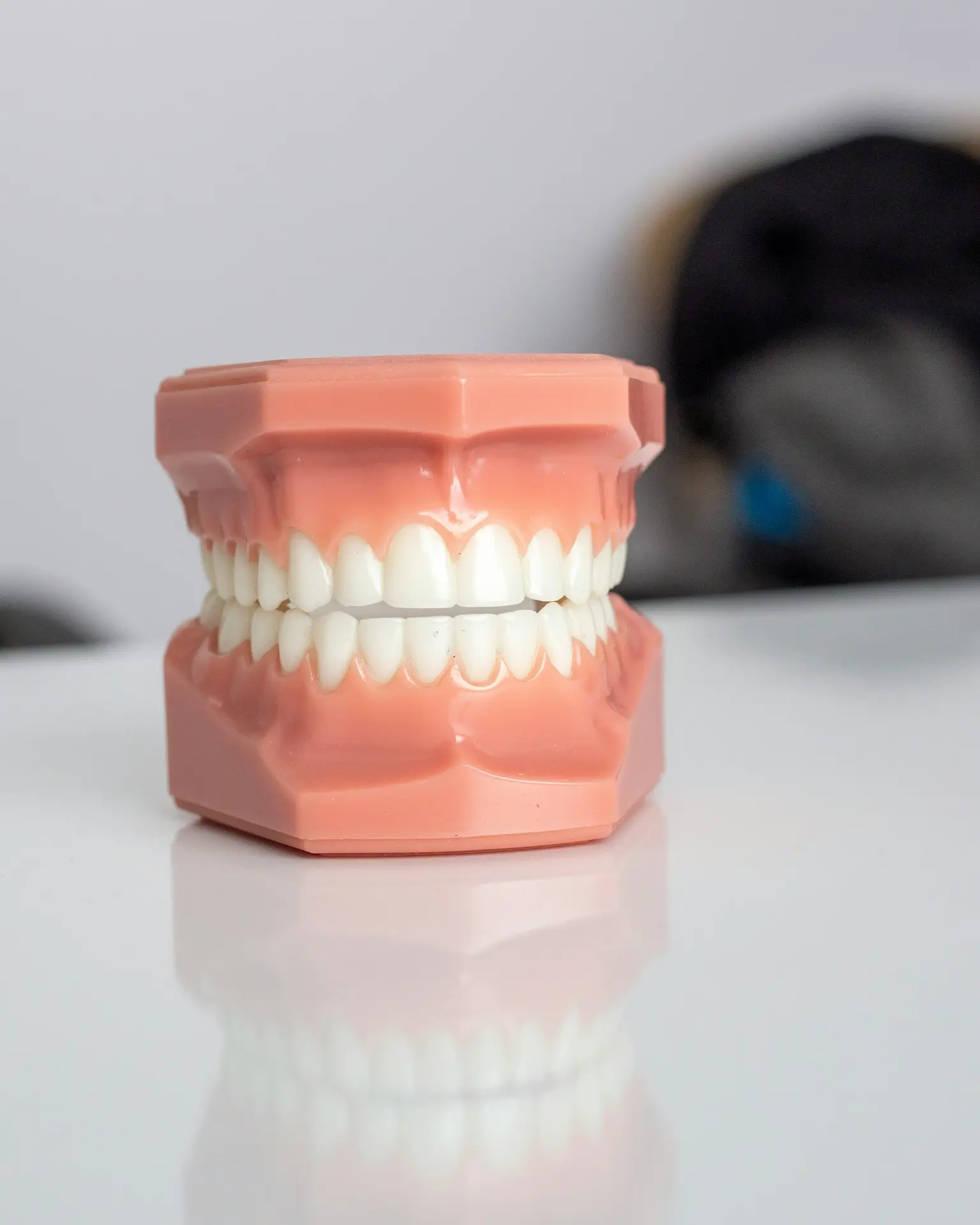 Conservativa e protesica - Studio Dentistico Silvia Babboni